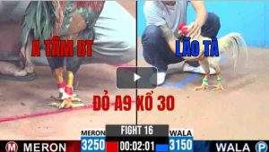 Trận 16 CPC3 30/05/2025