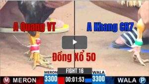 Trận 16 CPC3 31/05/2025