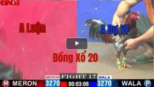 Trận 17 CPC1 10/05/2025