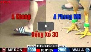 Trận 17 CPC1 23/05/2025