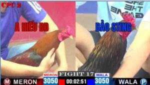 Trận 17 CPC2 04/05/2025