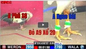 Trận 18 CPC1 12/05/2025