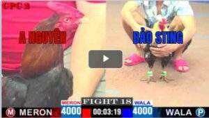 Trận 18 CPC2 04/05/2025