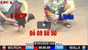 Trận 18 CPC2 11/05/2025