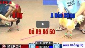 Trận 18 CPC2 23/05/2025