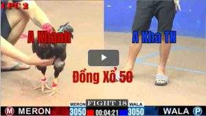 Trận 18 CPC2 28/05/2025