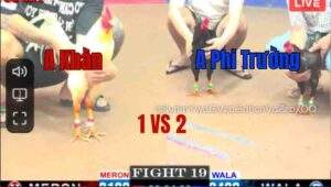 Trận 19 CPC1 08/05/2025