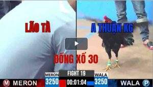 Trận 19 CPC3 30/05/2025