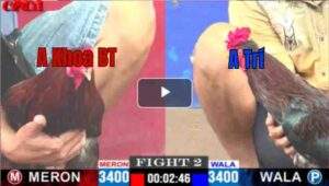 Trận 2 CPC1 03/05/2025