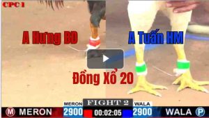 Trận 2 CPC1 23/05/2025