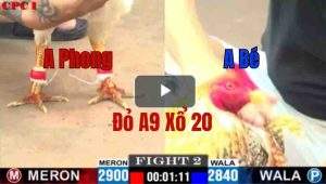 Trận 2 CPC1 27/05/2025