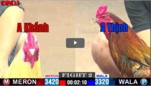 Trận 2 CPC2 06/05/2025