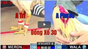 Trận 2 CPC2 28/05/2025