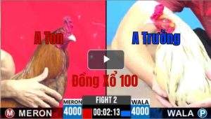 Trận 2 CPC3 31/05/2025