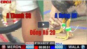 Trận 20 CPC1 08/05/2025