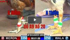 Trận 20 CPC1 22/05/2025