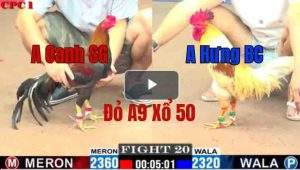 Trận 20 CPC1 26/05/2025