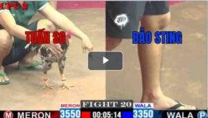 Trận 20 CPC2 04/05/2025