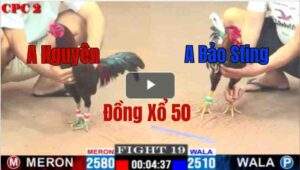 Trận 20 CPC2 09/05/2025