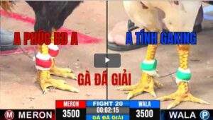 Trận 20 CPC3 07/05/2025