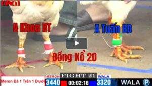 Trận 21 CPC1 10/05/2025