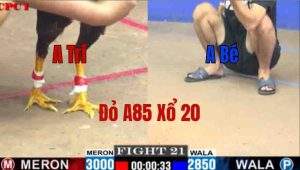 Trận 21 CPC1 27/05/2025