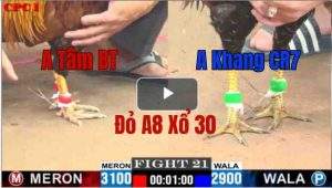 Trận 21 CPC1 29/05/2025