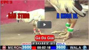 Trận 21 CPC2 04/05/2025