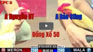 Trận 21 CPC2 23/05/2025