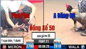 Trận 21 CPC3 30/05/2025