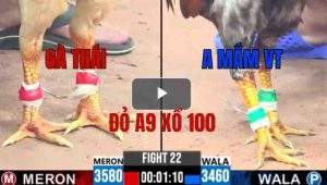 Trận 22 CPC3 25/05/2025