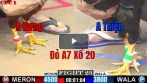 Trận 23 CPC1 22/05/2025