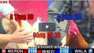 Trận 23 CPC1 29/05/2025