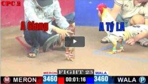 Trận 23 CPC3 02/05/2025