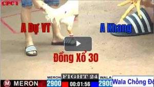 Trận 24 CPC1 23/05/2025