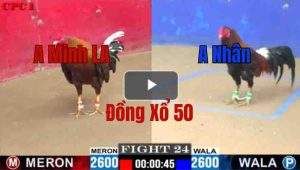 Trận 24 CPC1 26/05/2025