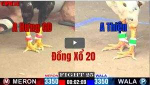 Trận 25 CPC1 08/05/2025