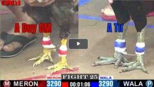 Trận 25 CPC2 06/05/2025