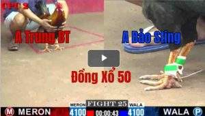 Trận 25 CPC2 23/05/2025