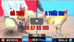 Trận 25 CPC3 25/05/2025