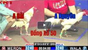 Trận 26 CPC2 14/05/2025