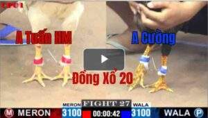 Trận 27 CPC1 20/05/2025