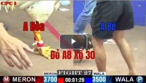 Trận 27 CPC1 27/05/2025