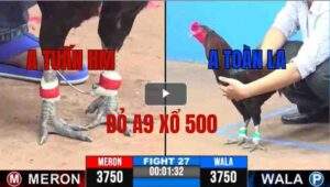 Trận 27 CPC3 07/05/2025