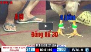 Trận 28 CPC2 11/05/2025