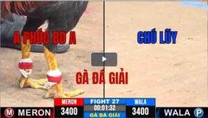 Trận 28 CPC3 07/05/2025