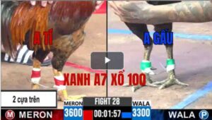 Trận 28 CPC3 14/05/2025