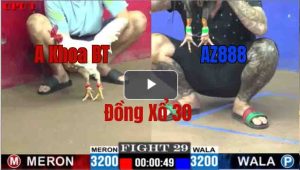 Trận 29 CPC1 23/05/2025