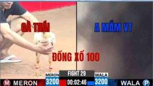 Trận 29 CPC3 25/05/2025