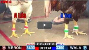 Trận 3 CPC1 01/05/2025